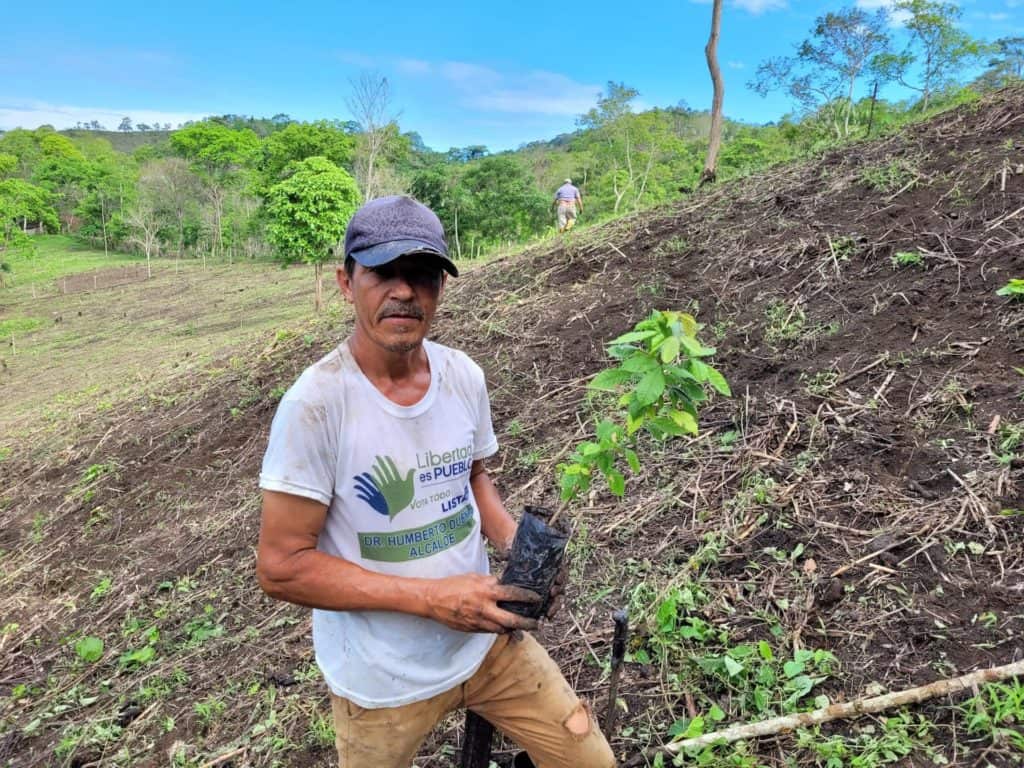 Jose Luis with seedling