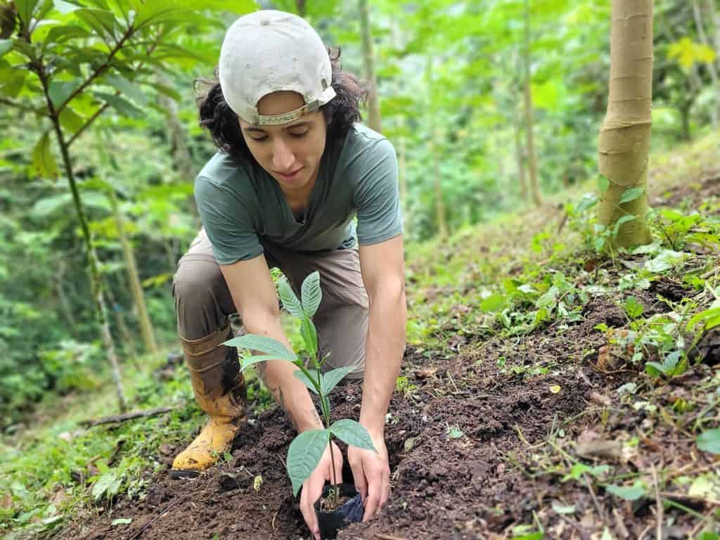 Moises planting 1