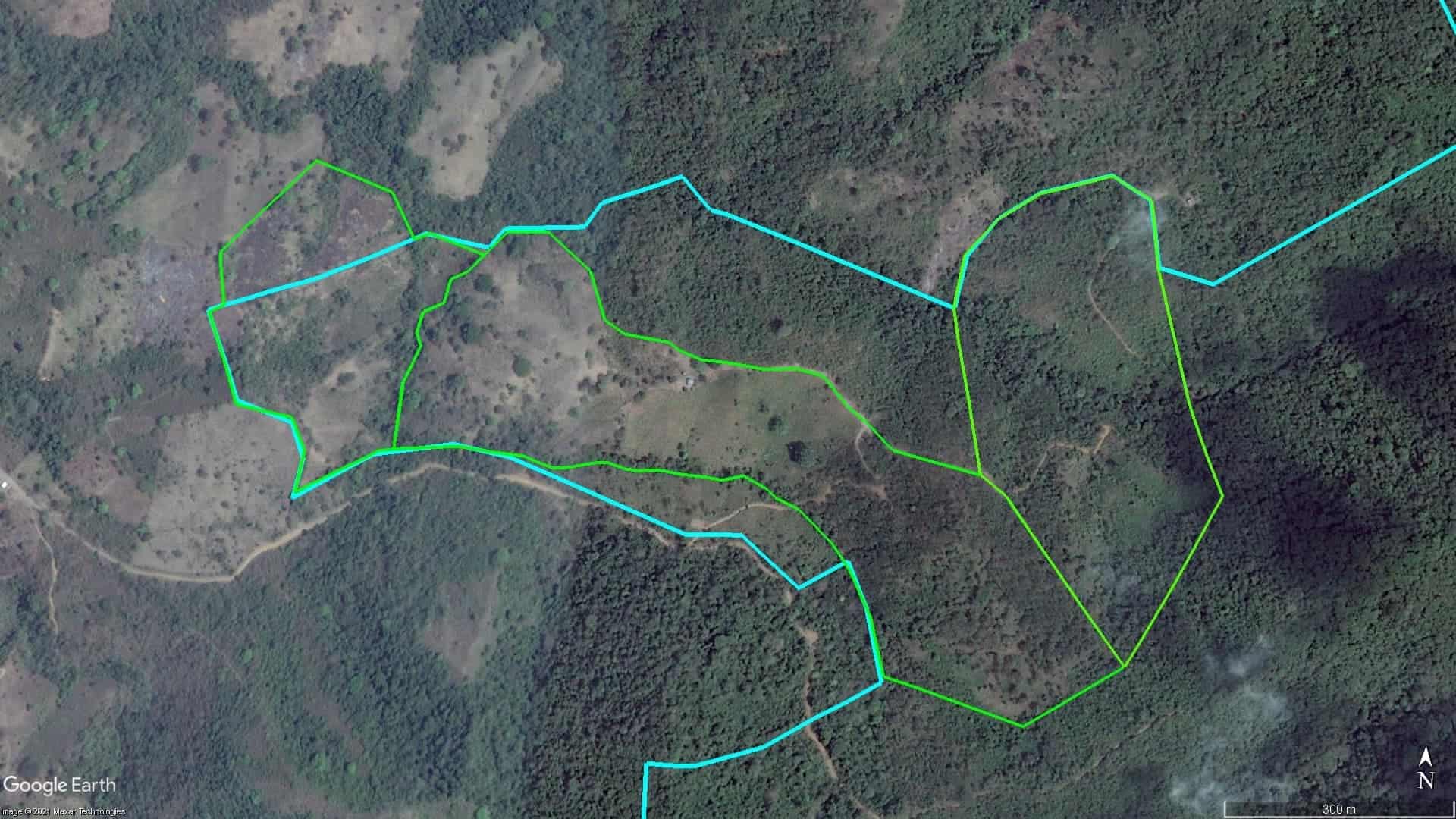 How We Monitor and Verify Forest Restoration