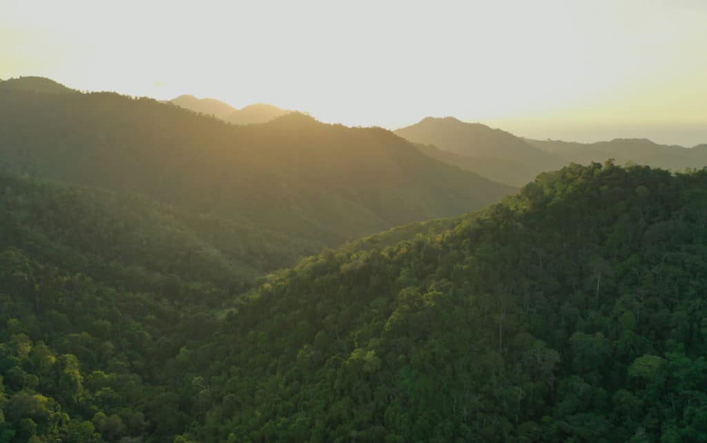 Coastal mountains of the Jama-Coaque Reserve in the Pacific Forest of Ecuador