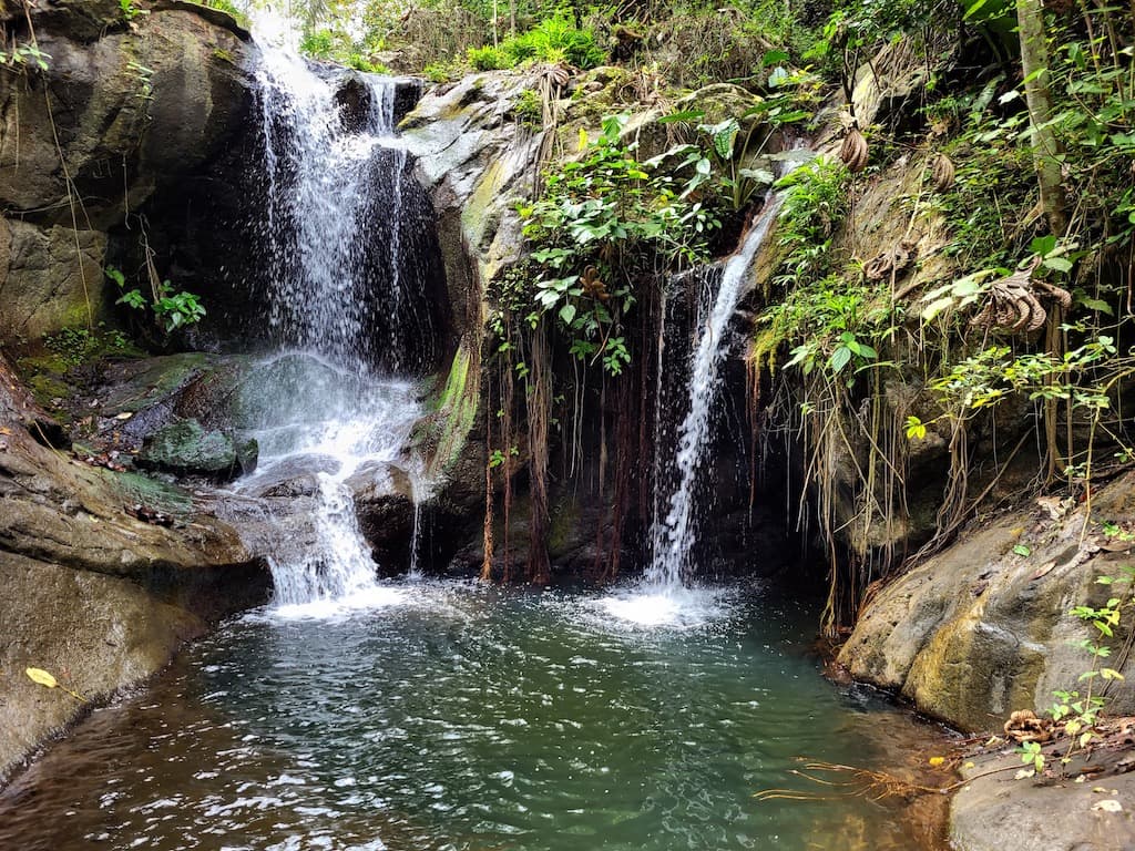 Waterfall in the Jama-Coaque Reserve