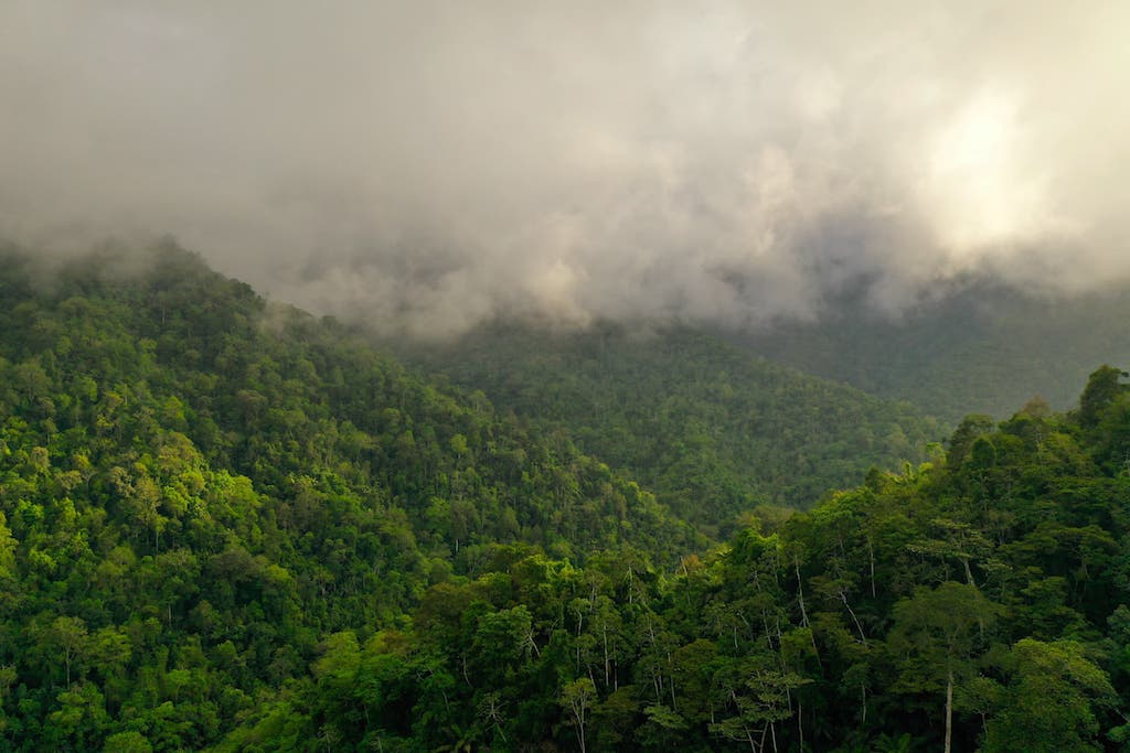 Fog layer on the coastal mountains