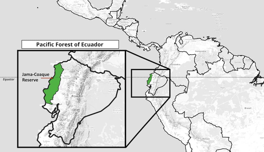 Map of the Pacific Forest of Ecuador