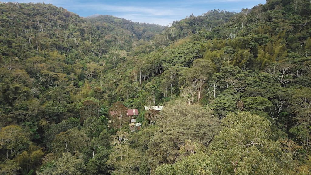 Drone photo of the Bamboo House of the Jama-Coaque Reserve surrounded by lowland moist forest