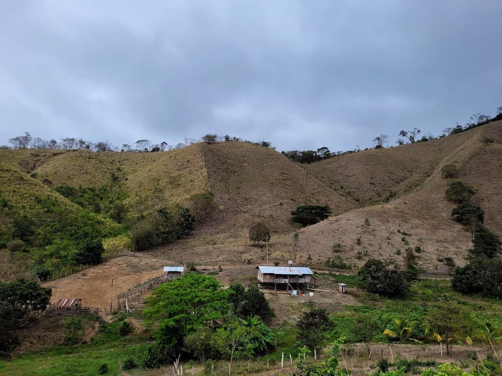 totally deforested hillside
