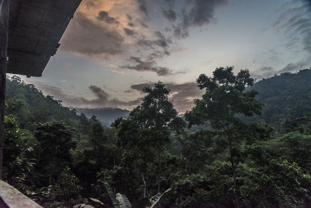 View from the balcony of the Jama-Coaque Reserve in the Pacific Forest of Ecuador