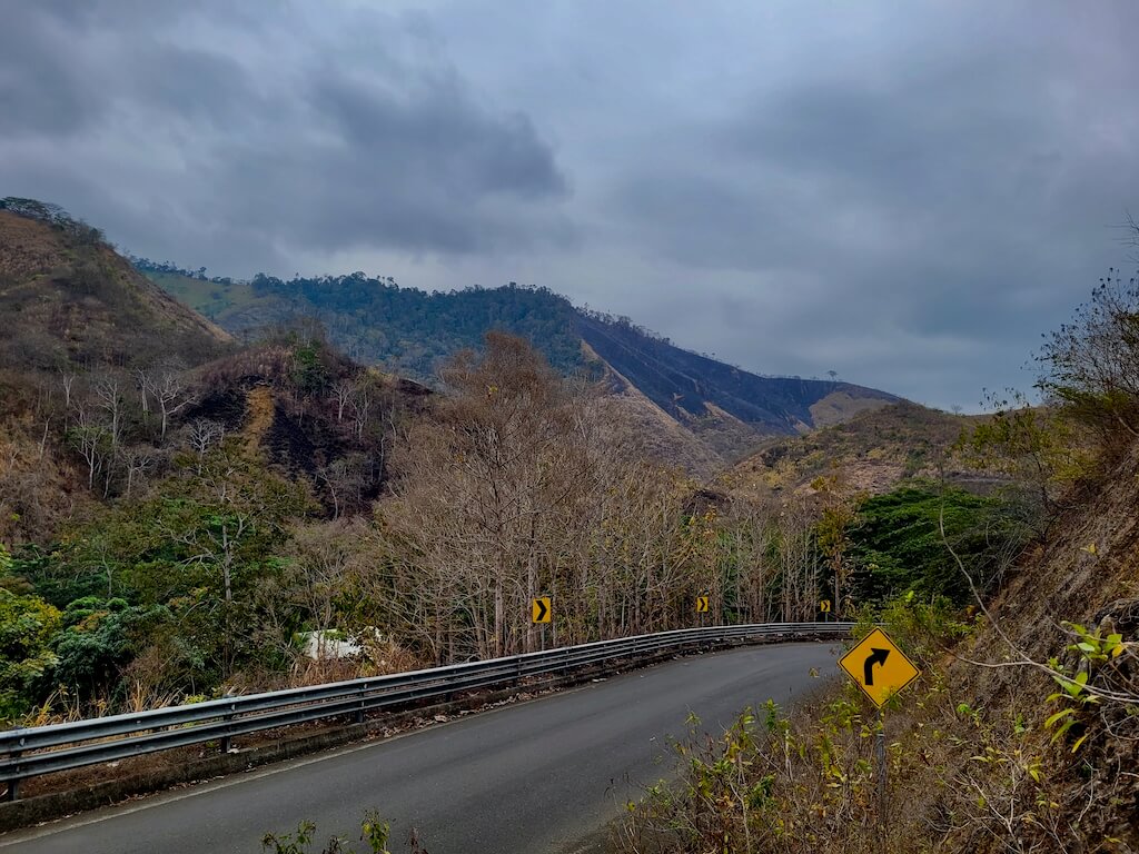 Road cutting through Pata de Pajaro
