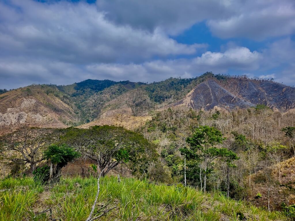 Deforested hillside leading up to Pata de Pajaro