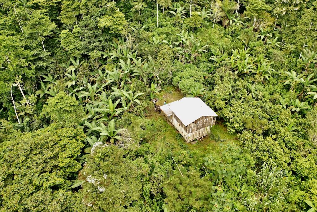 overhead photo of a house in the middle of the forest