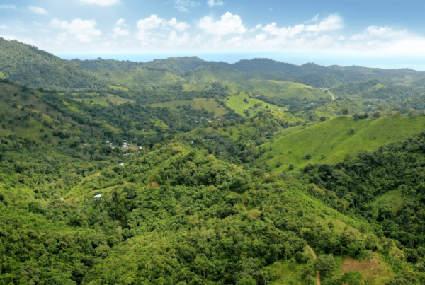 Aerial view of the Camarones River valley circa 2022