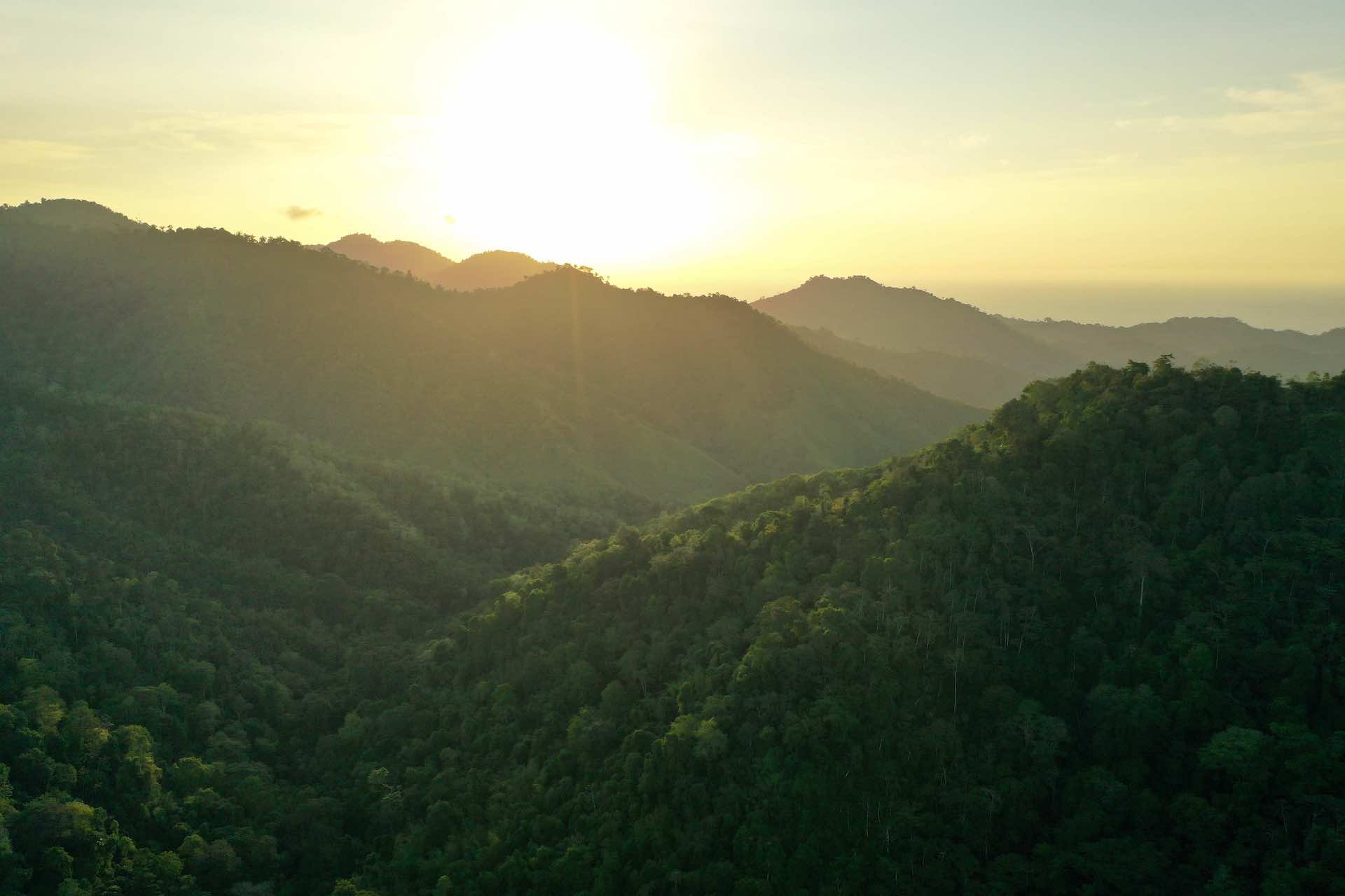 Photo Tour of the Pacific Forest of Ecuador