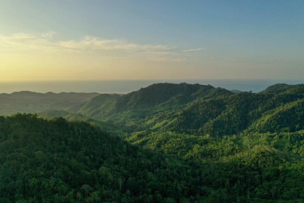 Mountains of the Jama-Coaque Reserve with Pacific Ocean in background