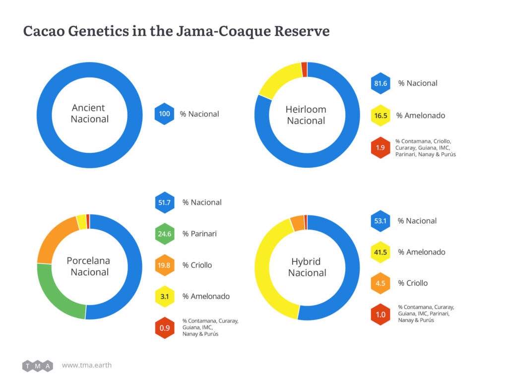 Pie chart of cacao variety genetics