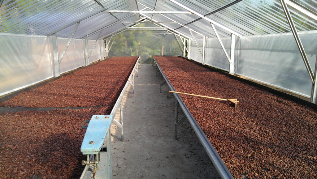 Cacao drying facility by To'ak