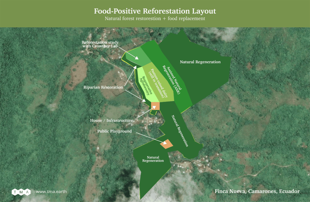Food-positive example in Ecuador