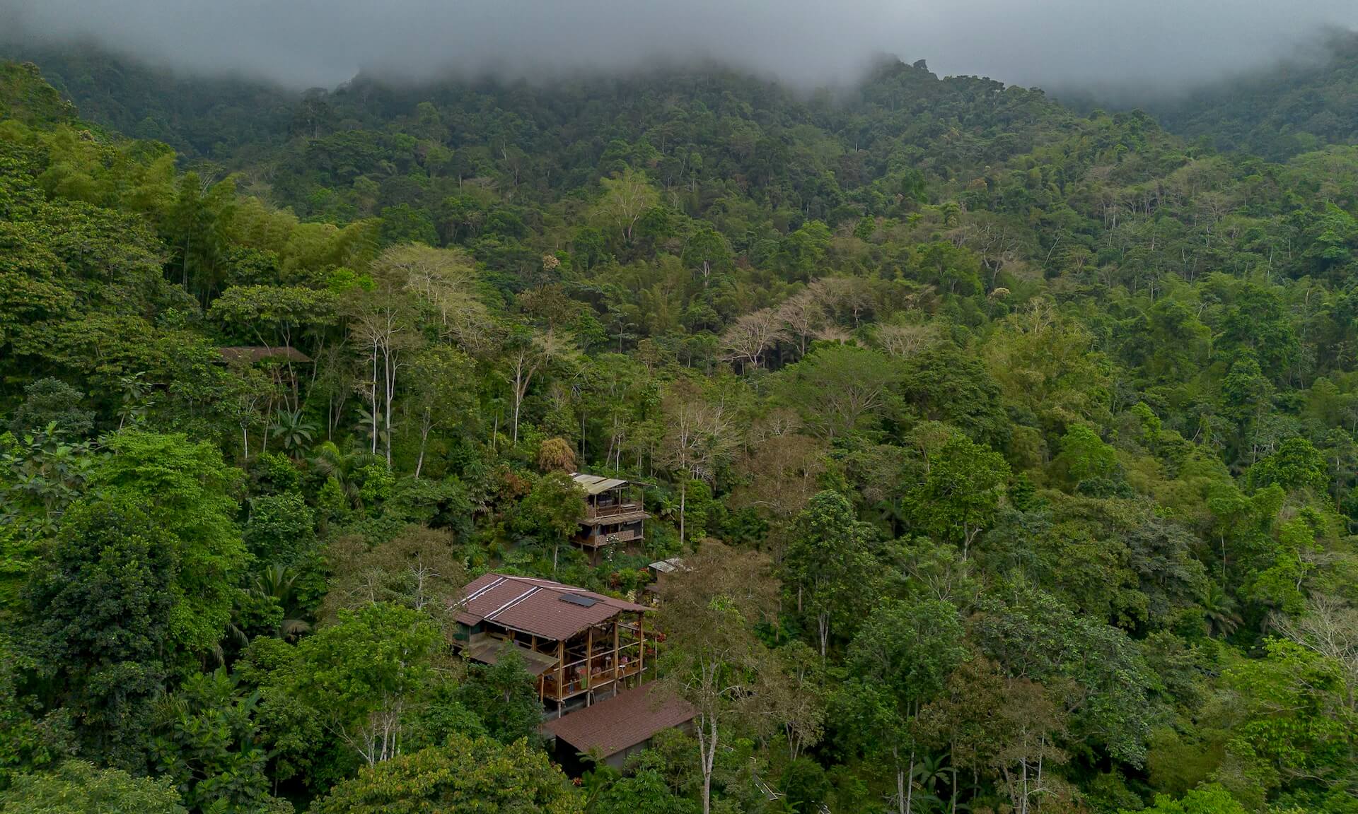 The Jama-Coaque Reserve