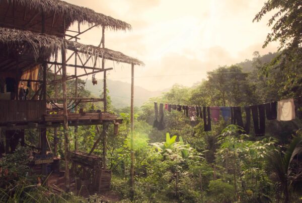 Bamboo House circa 2013