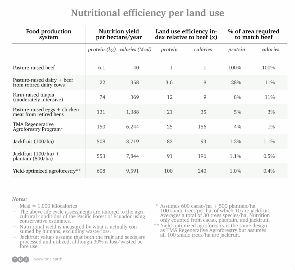Nutritional efficiency per land use
