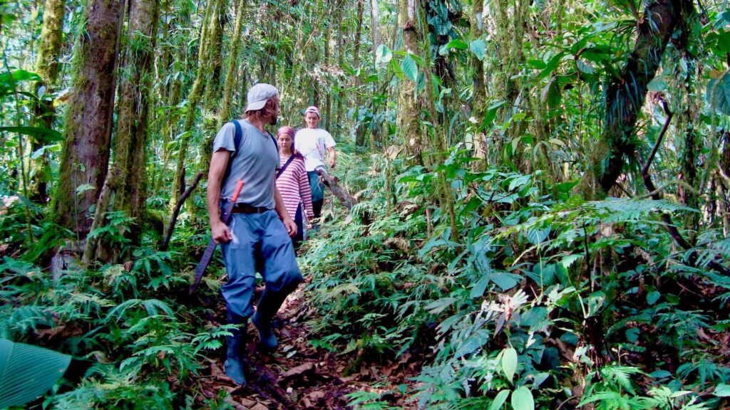 Walking down the cloud forest circa 2008