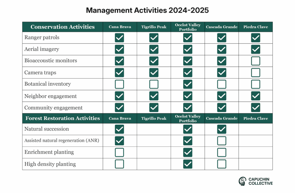 Capuchin Collective management activities 2024-2025